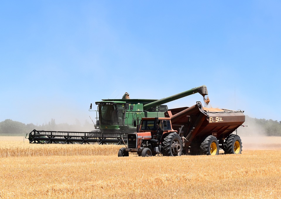 Em 2022, Sorriso (MT) manteve a liderança na produção agrícola