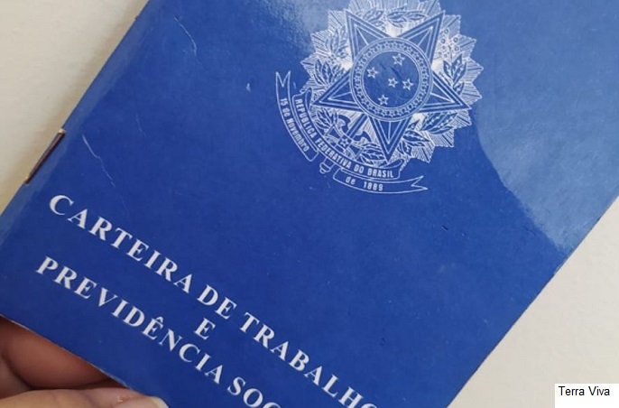 Formados no ensino superior perceberam melhora para conseguir emprego
