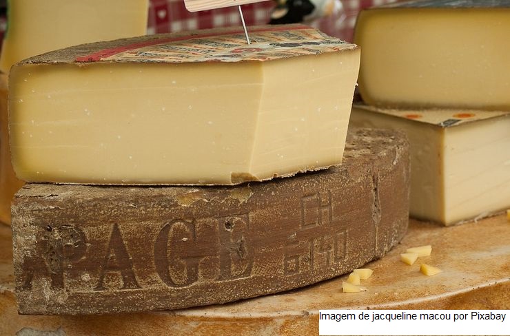 Análises em queijos ganham agilidade