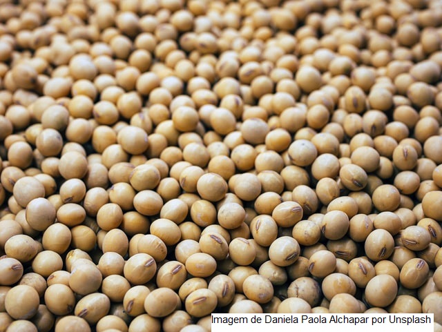 China abre mercado para farelo de soja e outros produtos do Brasil