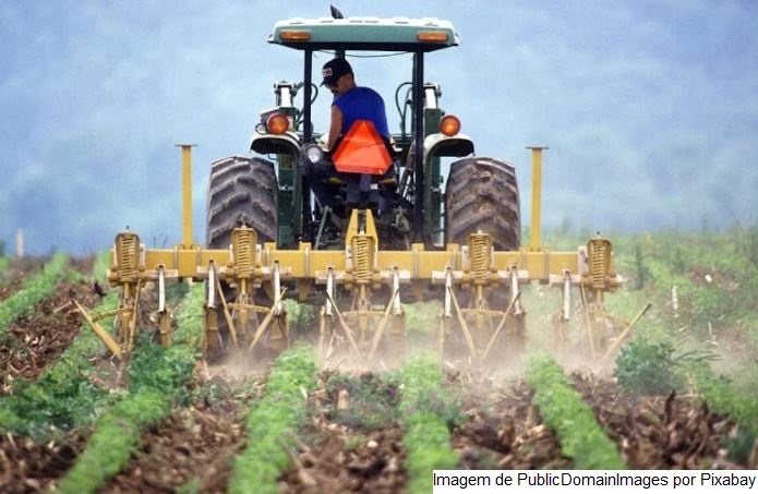 EXPORT/CEPEA: Preço de exportação elevado garante mais um ano de faturamento recorde para o agronegócio