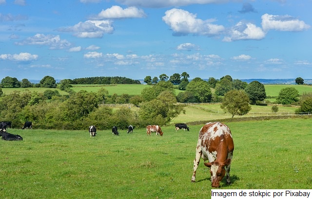 Agropecuária paulista produz mais e melhor com práticas sustentáveis