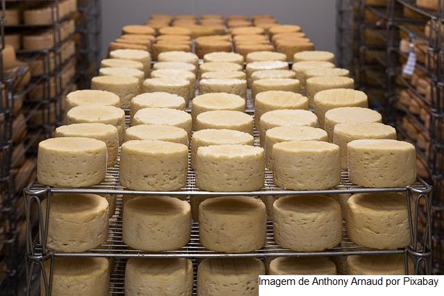 Cresce a produção de queijo artesanal em Goiás