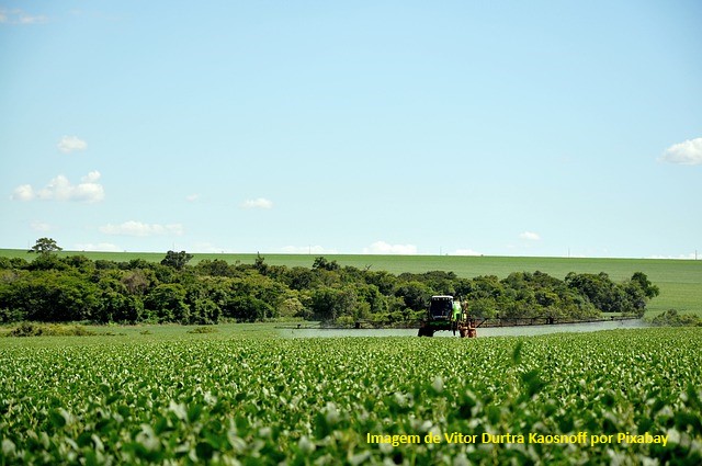 Agrotóxicos – Países europeus são os que mais usam agroquímicos no mundo