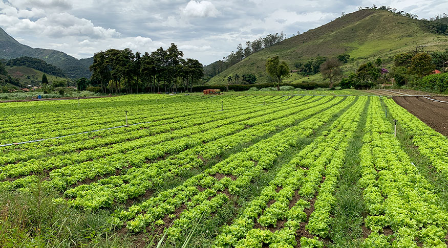 Publicação inédita do IBGE mostra elevado potencial natural para a agricultura no país