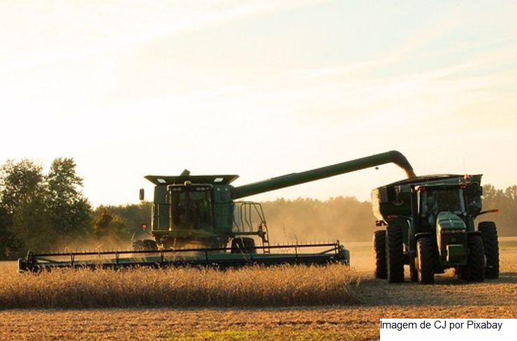 USDA traz embarques semanais de soja fortes dos EUA, acima das expectativas do mercado