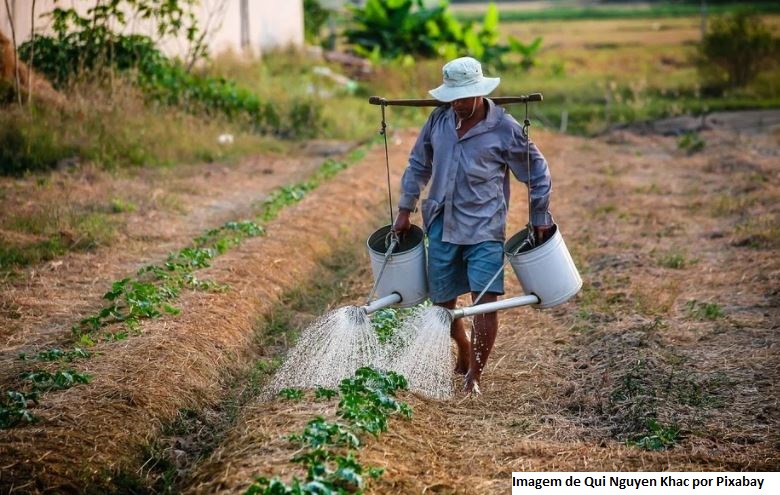Agricultores nordestinos estão à margem da modernização tecnológica