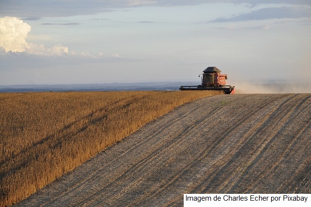 USDA: Colheita da soja avança rápido nos EUA e se aproxima de 50% da área