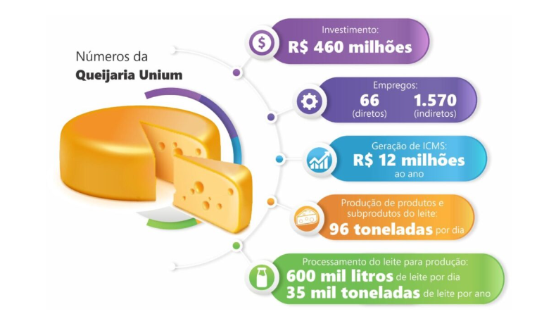 Ponta Grossa/PR se consolida como referência para queijos