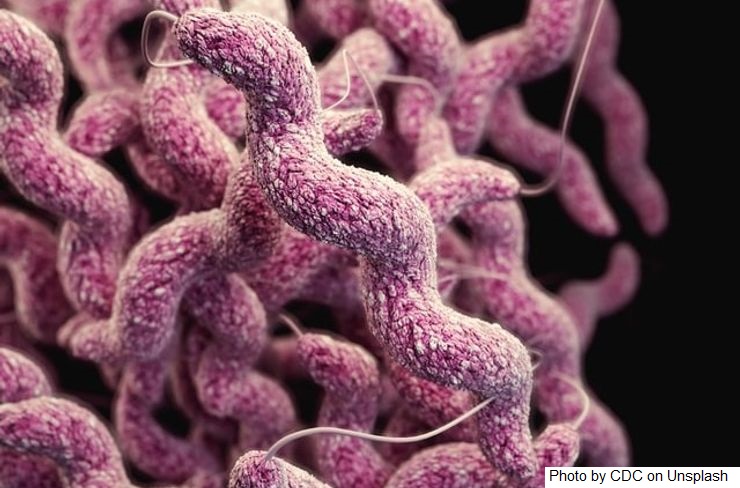 A listeria sobrevive mais em temperaturas baixas do que na temperatura ambiente