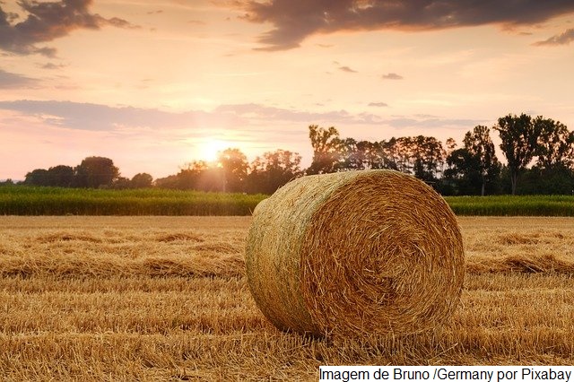 Município de Sorriso, no Mato Grosso, lidera valor de produção em 2020