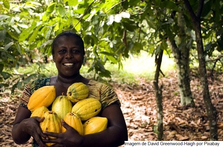 Boletim da Conab destaca conquistas das mulheres na agricultura familiar