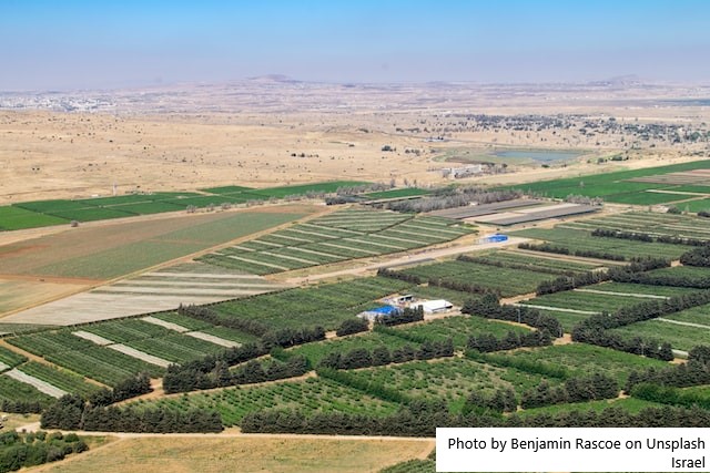 Produção de leite em Israel - Kibutz ou Moshav