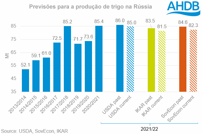 Mercado de grãos: os preços sobem com a redução da safra russa
