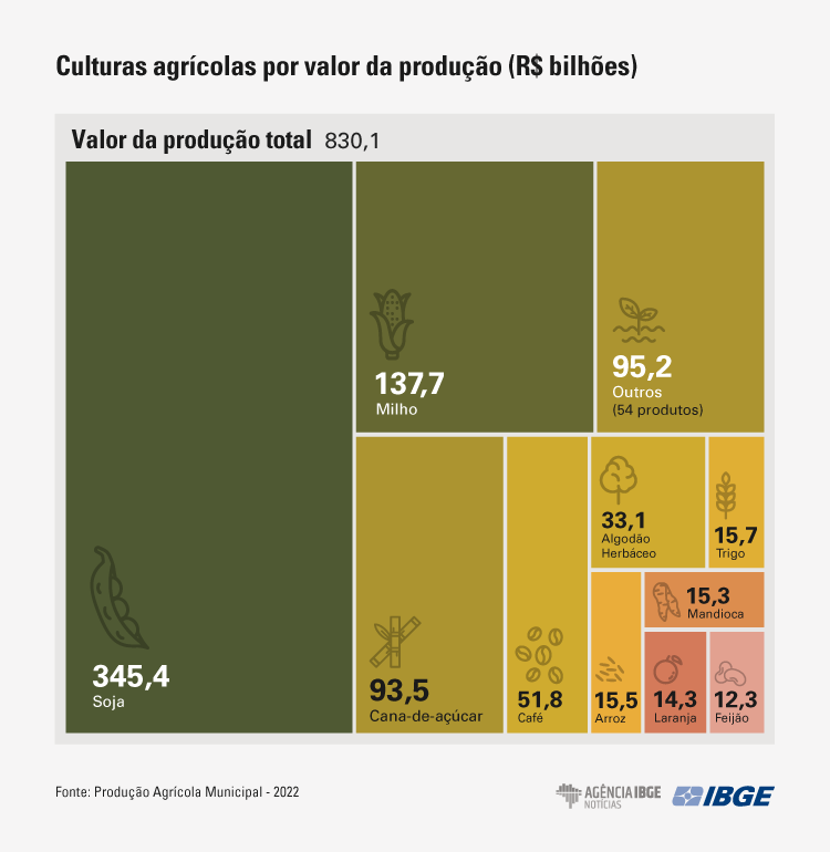 Em 2022, Sorriso (MT) manteve a liderança na produção agrícola
