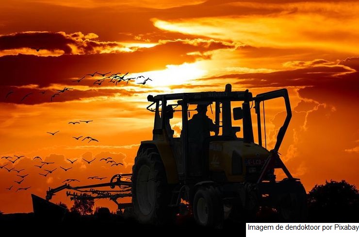 Agronegócio brasileiro tem superávit de US$ 43,7 bilhões no acumulado de 2022