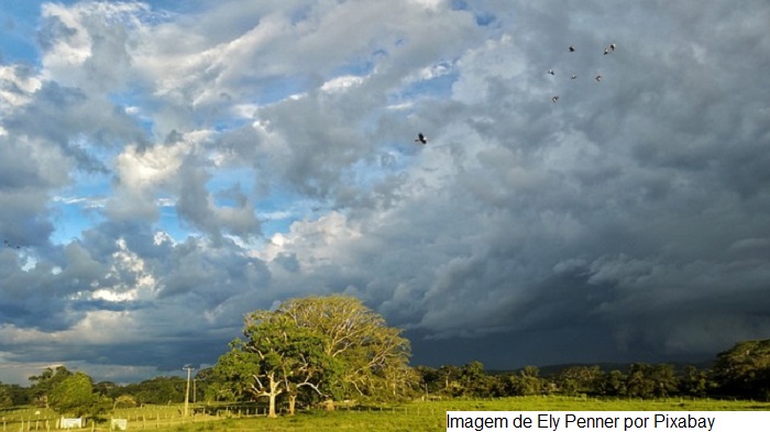 Chuva: Produtores rurais perderam até 500 mil litros de leite no Jequitinhonha
