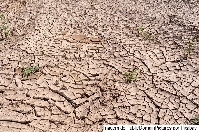 Paraguai anuncia medidas de socorro à agricultura diante de perdas por seca
