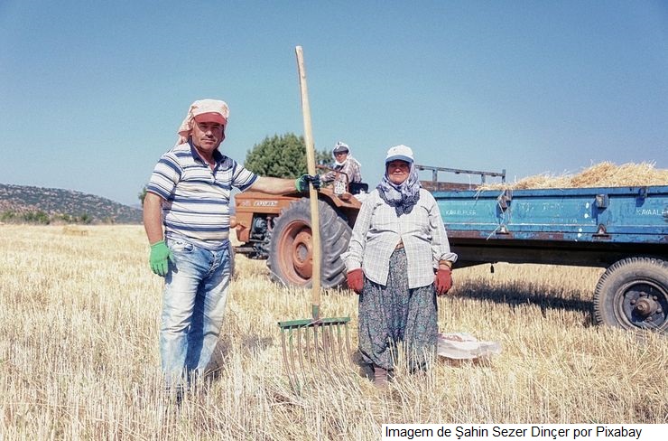 Cadastro Nacional da Agricultura Familiar (CAF) já substitui as DAPs