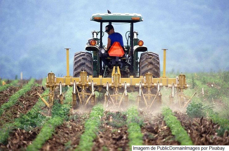 RIO GRANDE DO NORTE – Mais 5,5 mil t de milho destinadas ao ProVB no estado