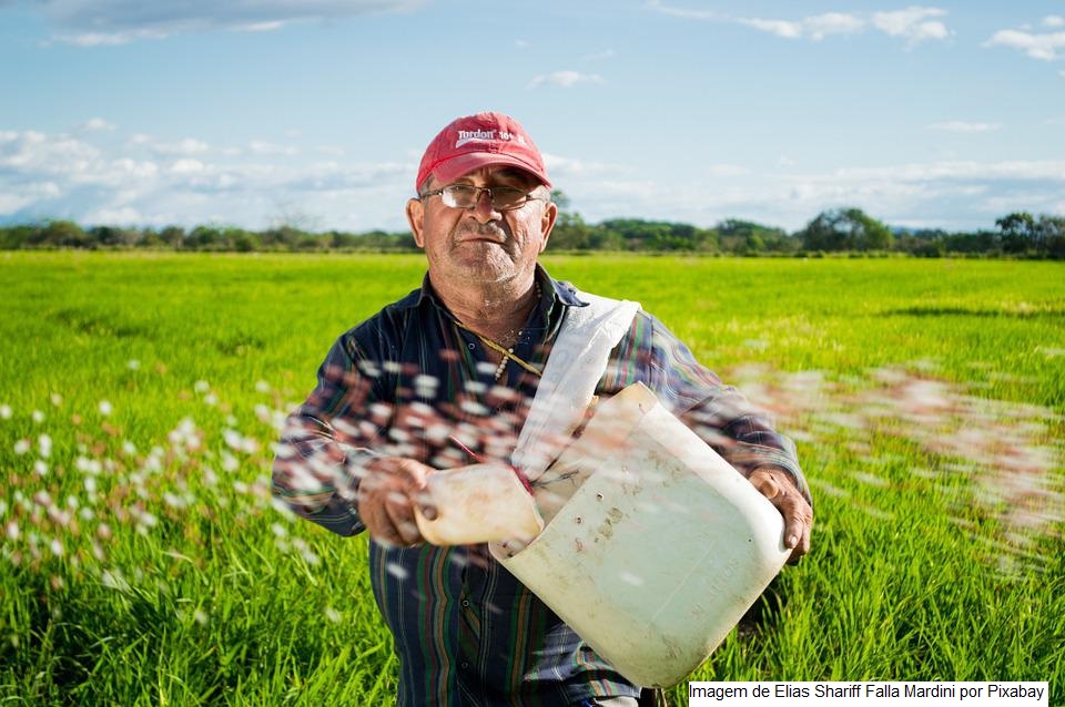 Selo Biocombustível Social promove a inclusão e capacitação técnica de agricultores familiares