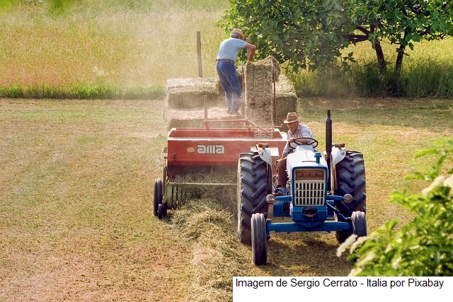 PAA: Lei que promove o fortalecimento da agricultura familiar é sancionada