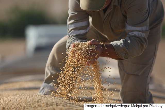 Agropecuária recuou 0,2% no PIB de 2021 por impactos climáticos