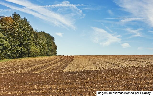 Senar apresenta resultados da ATeG no Programa Agronordeste