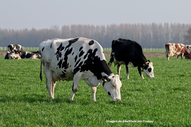 Certificação internacional vai permitir a abertura de novos mercados para o agro gaúcho