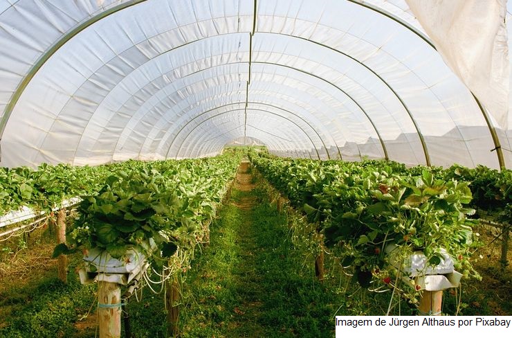 Projeto ABC+ visa reduzir emissão de carbono na agropecuária até 2030