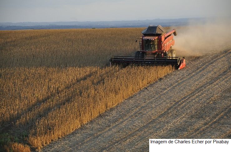Custo de produção de soja transgênica em MT cai em setembro ante agosto, diz Imea