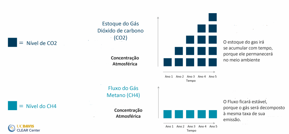 Ensinando Nicole Neumann: O metano emitido por bovinos é parte de um processo biogênico