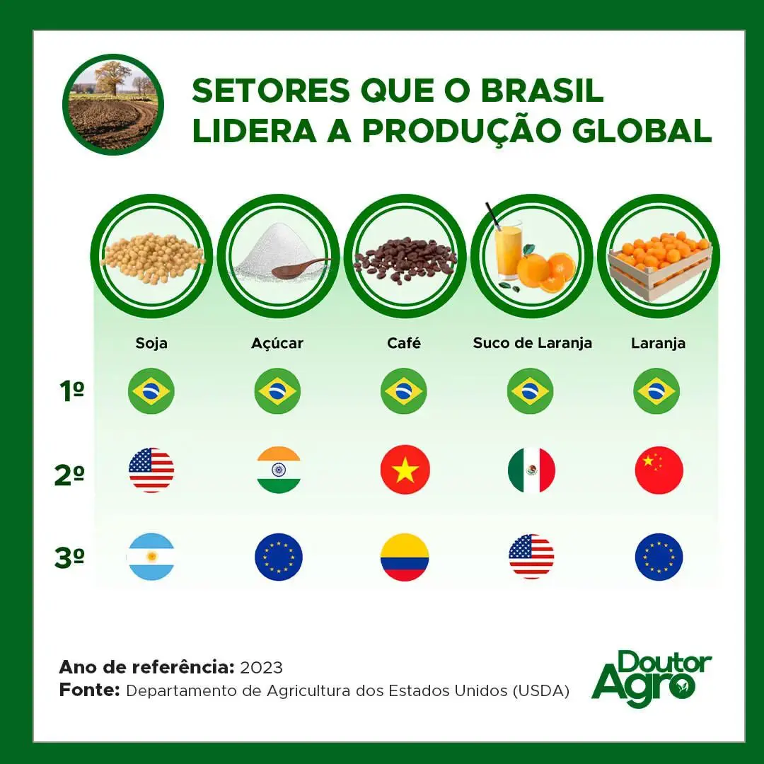 Heróis da terra: Dia Mundial da Agricultura e o papel vital dos agricultores