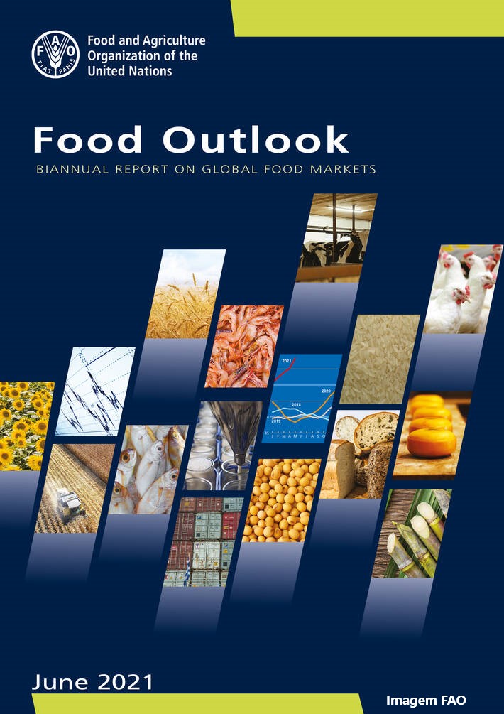 Dinamismo do comércio mundial de alimentos e preços firmes