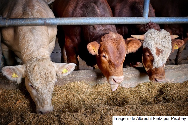 Mapa determina suspensão de uso de lotes de propilenoglicol na fabricação de produtos para alimentação animal