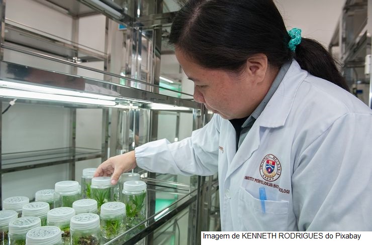 O IICA amplia seu apoio aos países das Américas no desenvolvimento da Biotecnologia, ferramenta que proporciona à agricultura benefícios produtivos e…