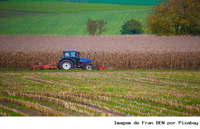 Mapa publica preços mínimos para os produtos de verão e regionais da safra 25/26 e 2026
