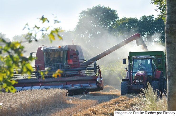 Produção agrícola em 2021 bate novo recorde e atinge R$ 743,3 bilhões