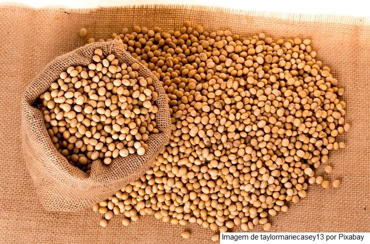 Consultoria aumenta estimativa de produção de soja mais uma vez