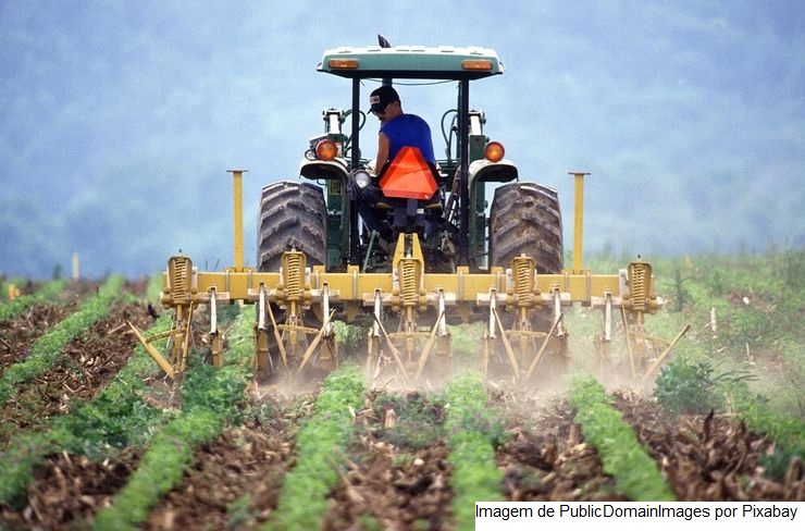 Grupo quadruplica faturamento após AgroNordeste