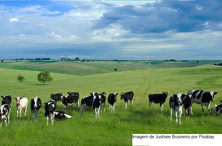 Irlanda – Consumidores acreditam que os produtores de leite atingirão as metas climáticas