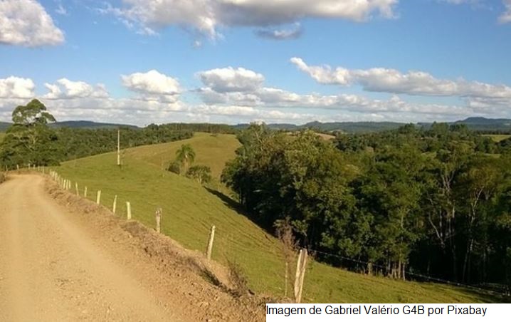 Serviço Florestal anuncia ferramenta para adesão de produtores ao Programa de Regularização Ambiental