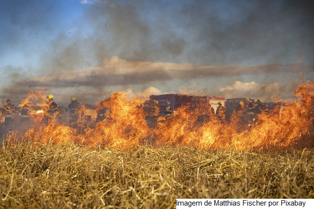 Governo da Argentina afirma que incêndio e seca já afetaram 1,5 milhão de cabeças de gado