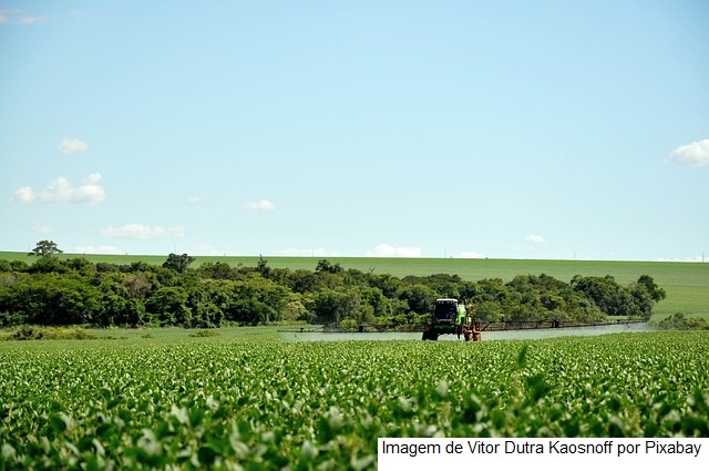Clima adverso influencia na produção de grãos na safra 2022/23, estimada em 310,9 milhões de toneladas