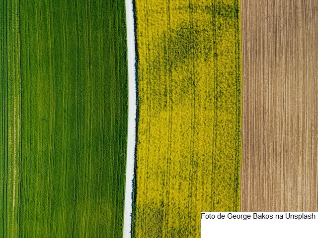Monitoramento Agrícola registra boas condições de desenvolvimento na safra 2022/2023