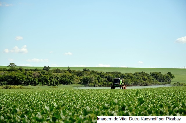 Diante de seca, China diz aos agricultores para replantar ou trocar de culturas