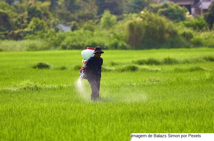 Preços dos fertilizantes nitrogenados crescem com o aumento dos preços do gás natural na Europa