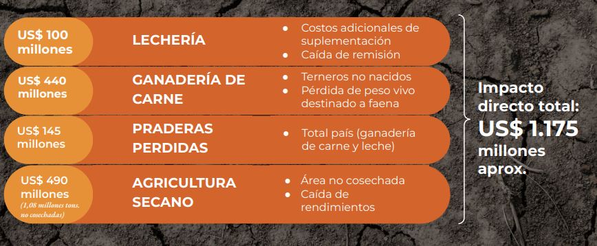 UR – O impacto da seca está causando perdas de US$ 100 milhões para o setor lácteo