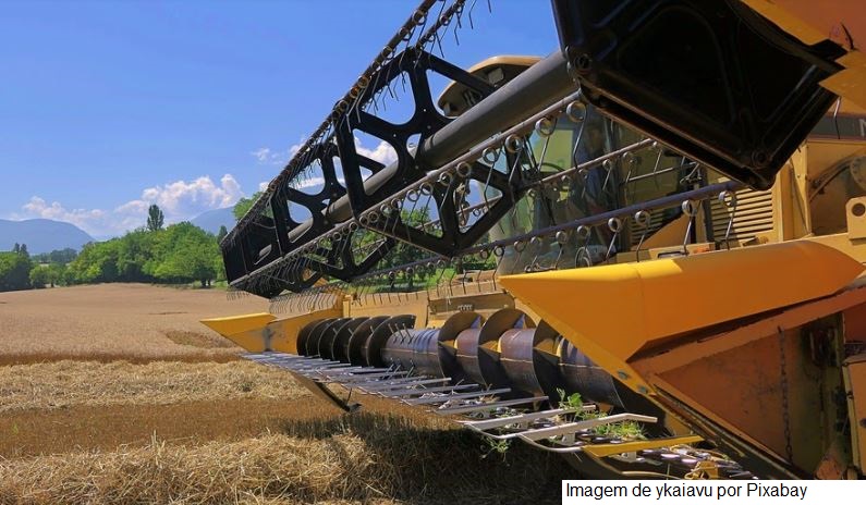 Conab estima produção total de 289,6 milhões de toneladas de grãos para safra 2021/22