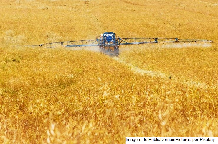 Queda no preço dos fertilizantes pode reduzir custo de alimentos ao consumidor